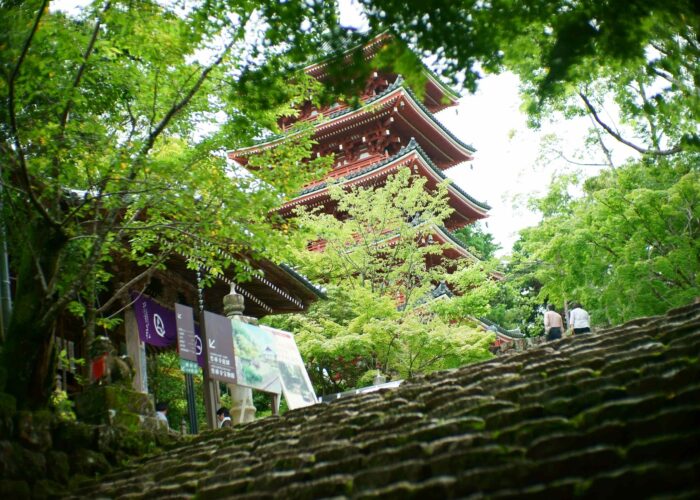 Private 1 Day Guided Tour of Kochi with Public Transport