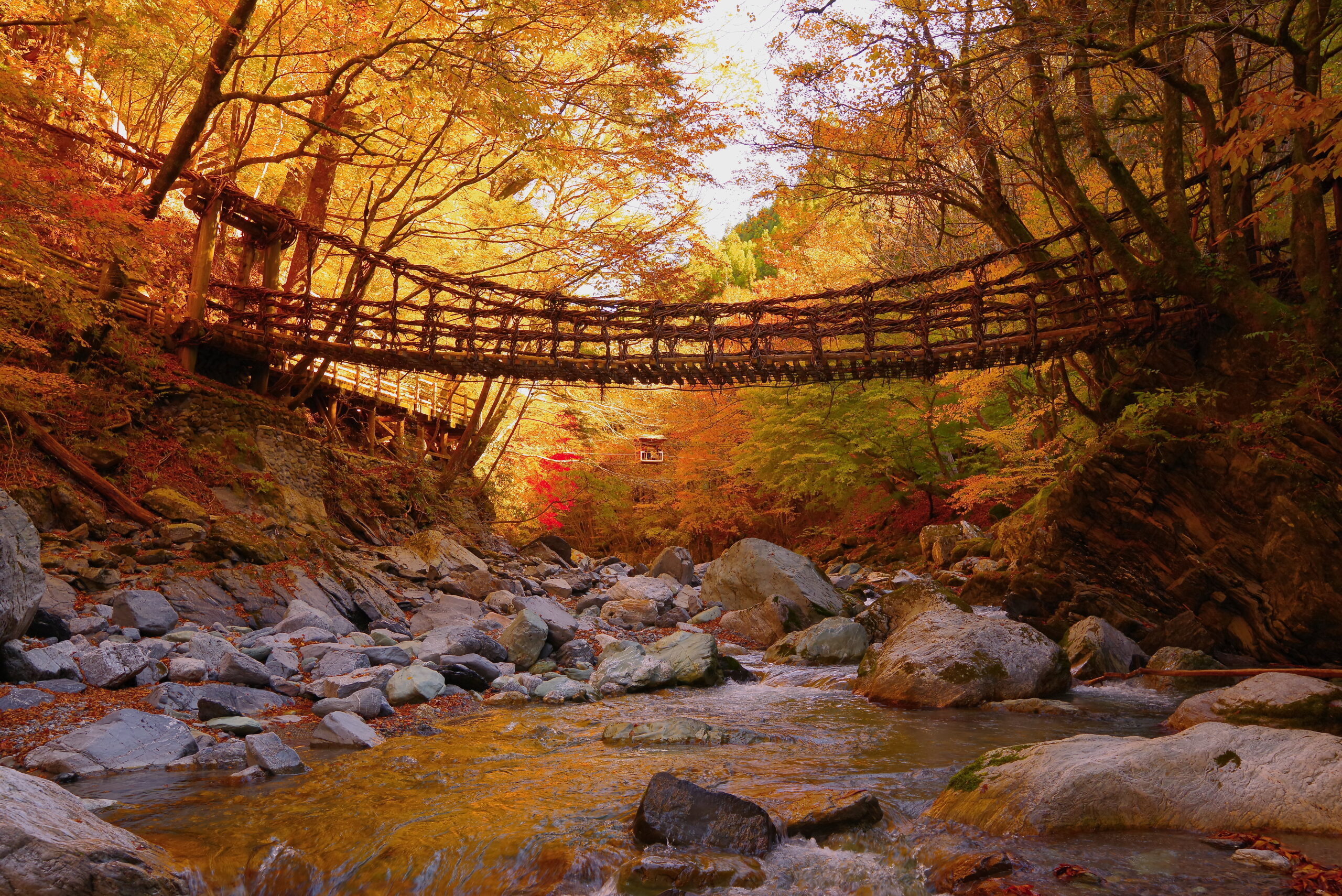 Iya Valley Vine bridge during Autumn