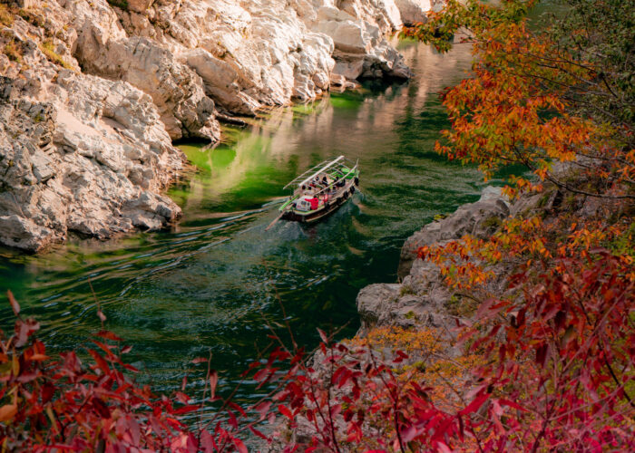 Guided Full-Day Iya Valley Tour: Vine Bridges, Scarecrows & Soba Making
