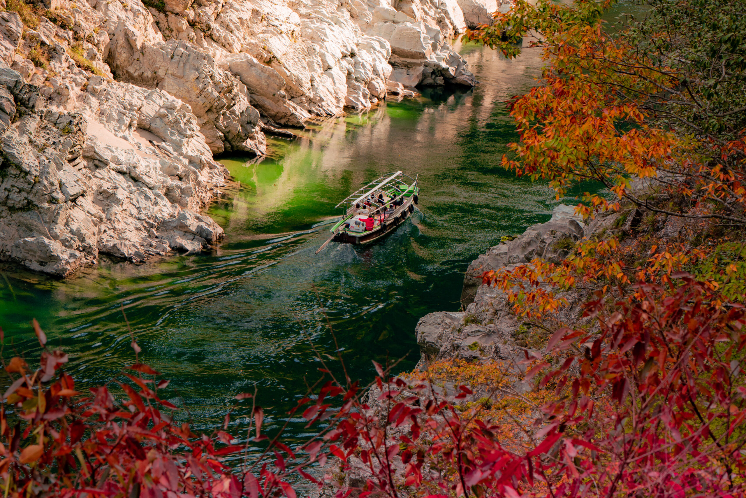Iya Valley Oboke sightseeing Cruise