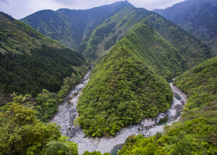 Guided Full-Day Iya Valley Tour: Vine Bridges, Scarecrows & Soba Making