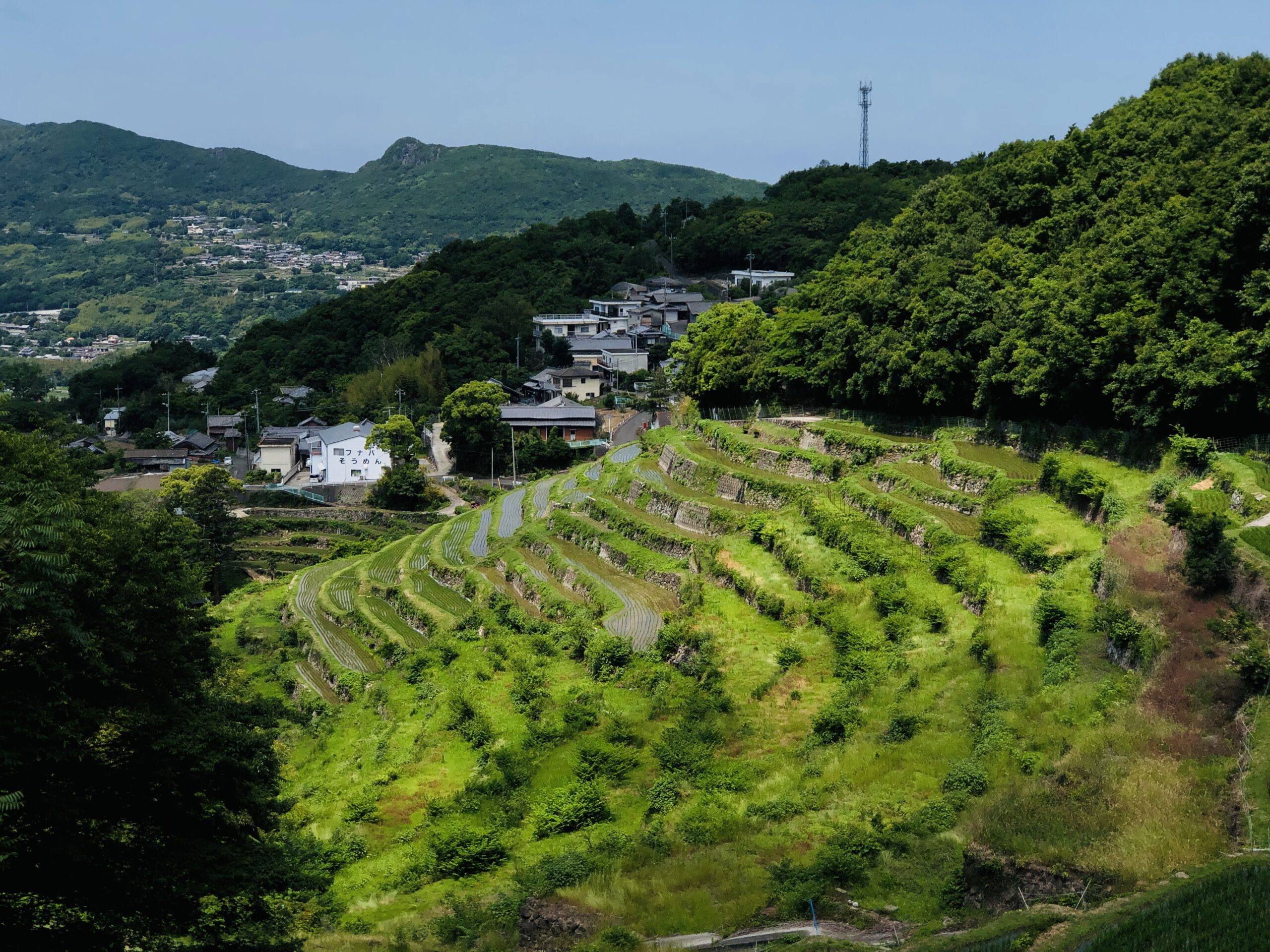 Shodoshima Rice Terrace