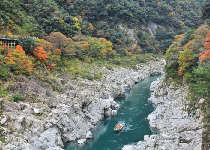 Guided Full-Day Iya Valley Tour: Vine Bridges, Scarecrows & Soba Making