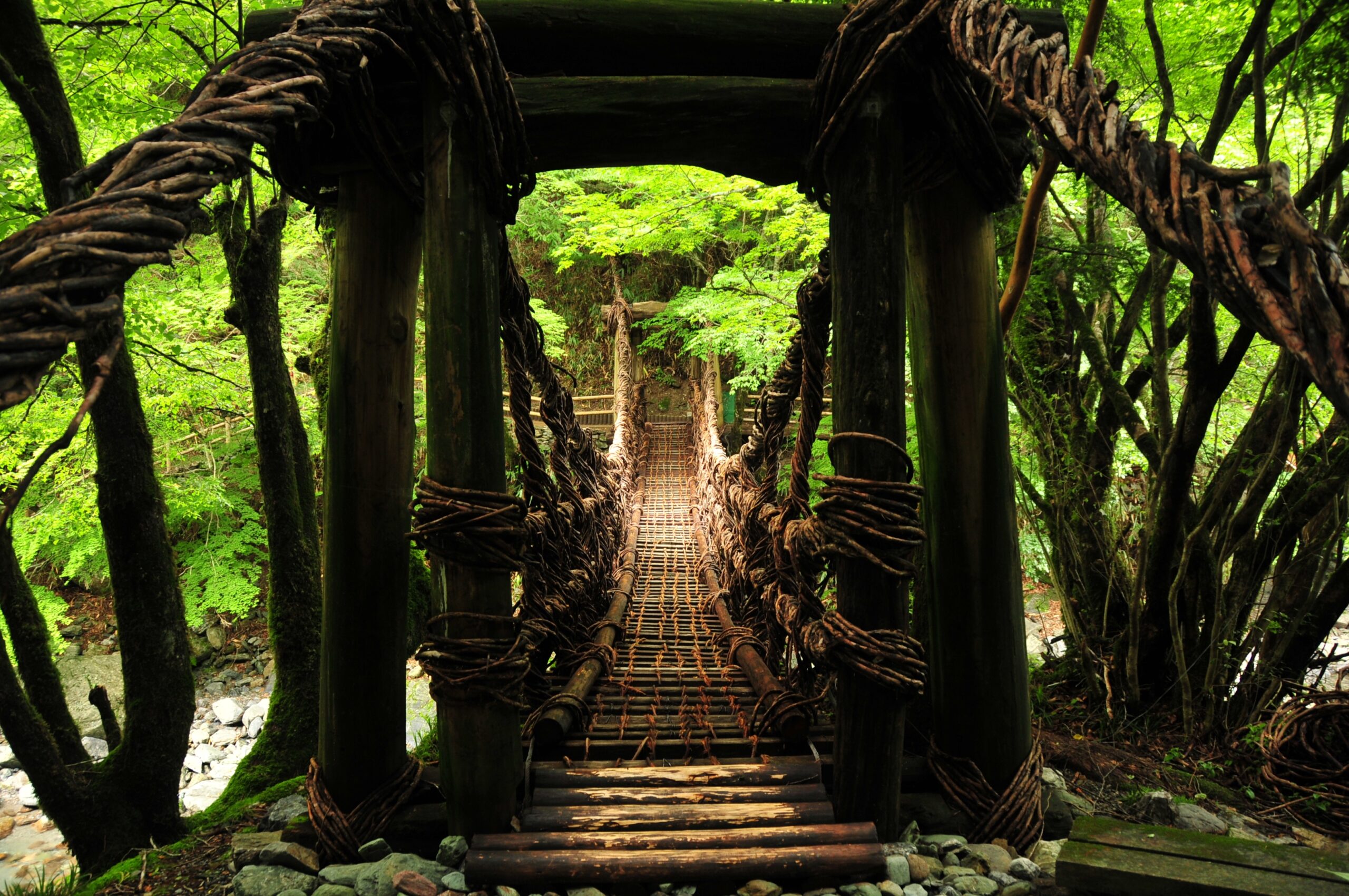 ????????????????????????????????????