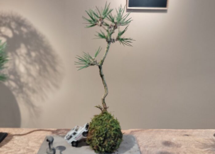 Bonsai Gardens, Craft, and Lunch in a Farmer’s Workshop