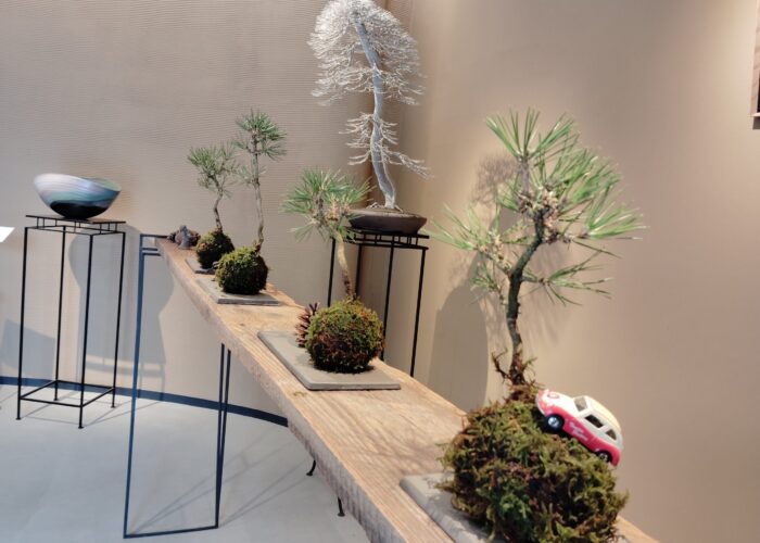 Bonsai Gardens, Craft, and Lunch in a Farmer’s Workshop