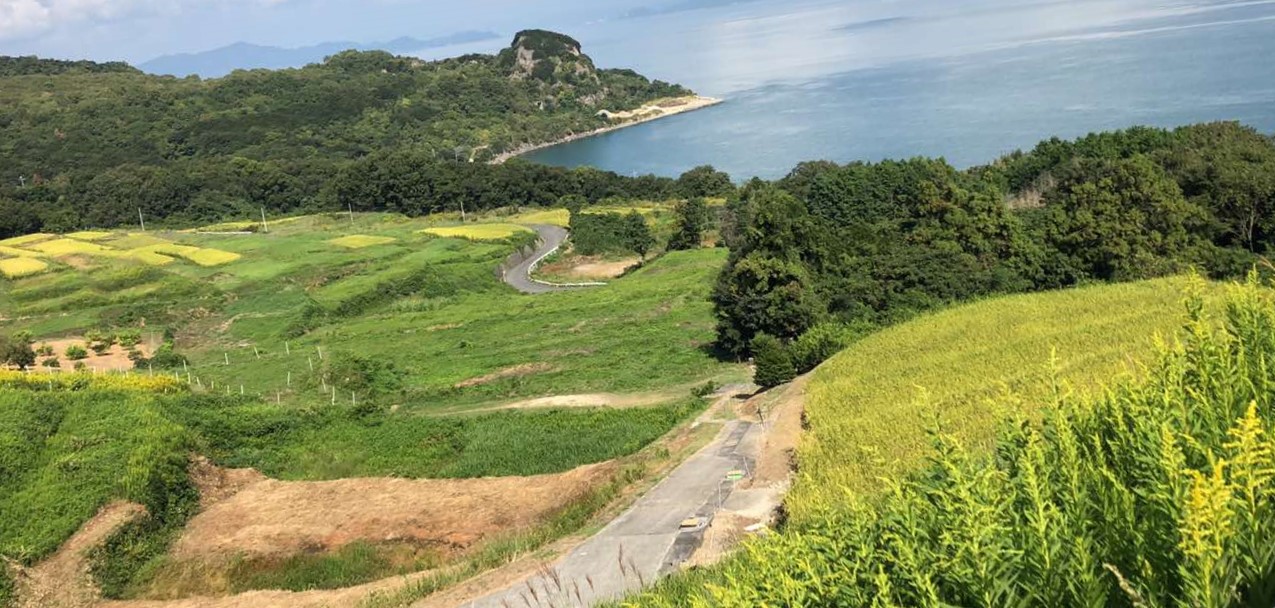 Teshima Terrace fields