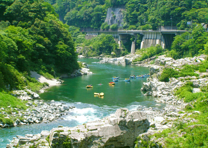 Guided Full-Day Yoshino River Rafting Adventure in Iya Valley