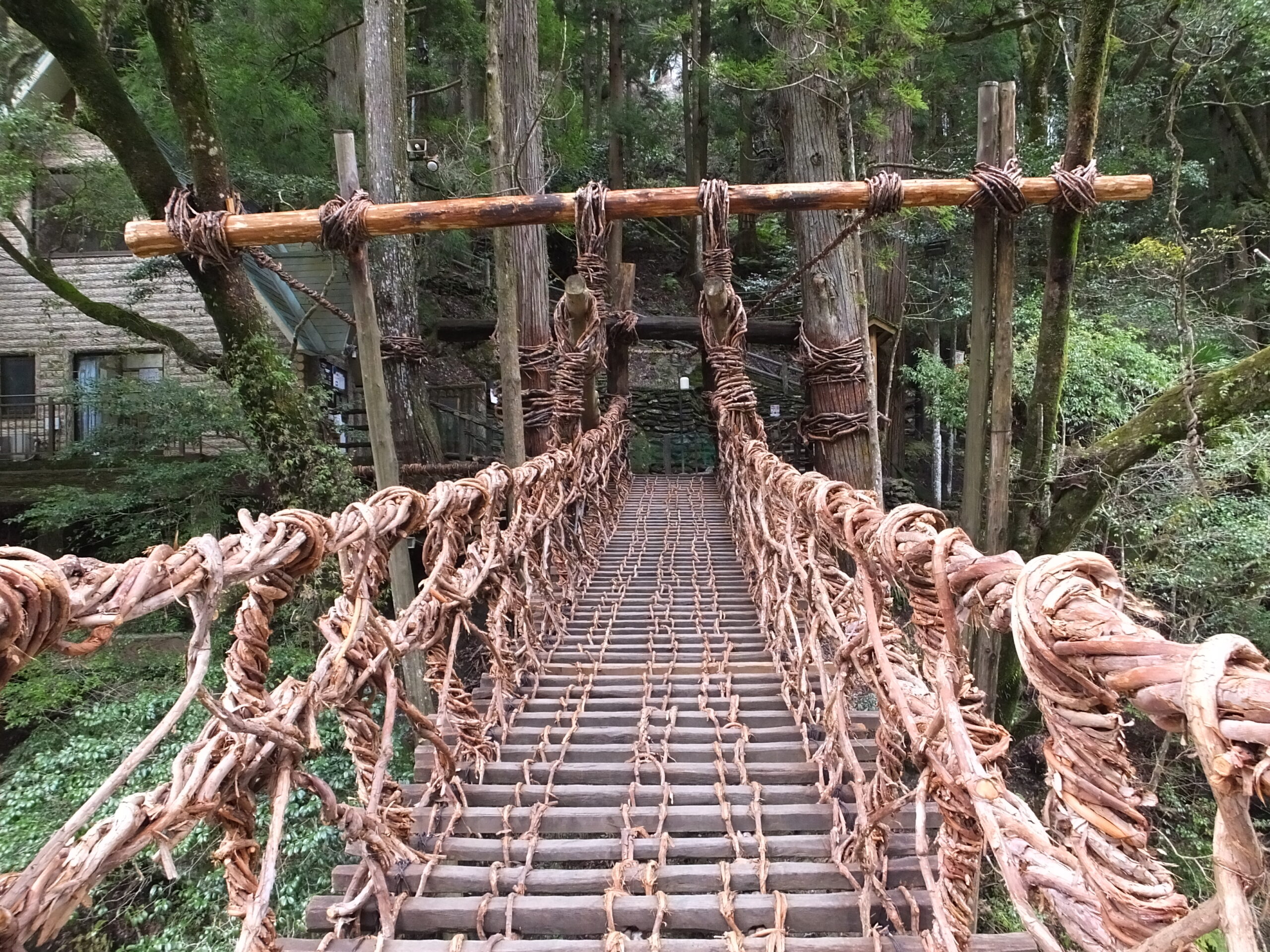 Iya valley Exploer Shikoku