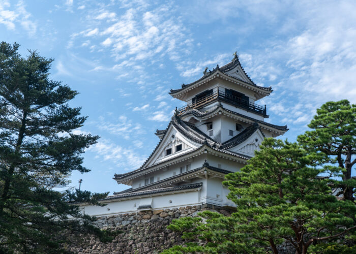 Private 1 Day Guided Tour of Kochi with Public Transport