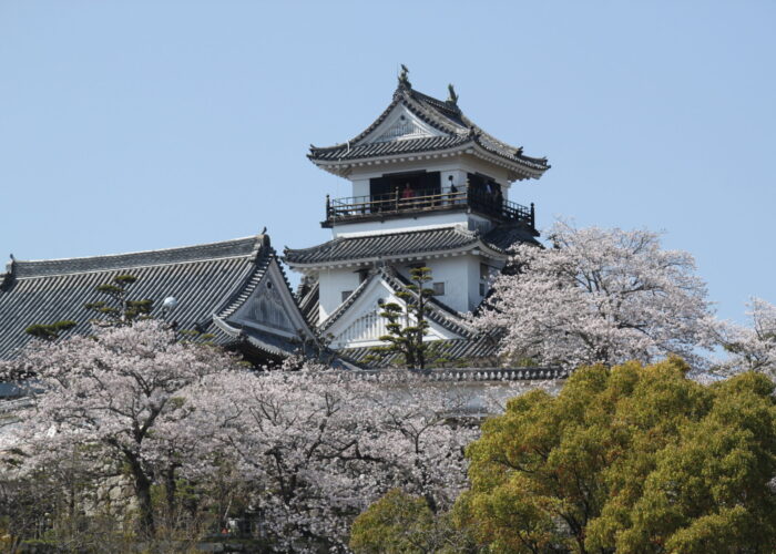 5 Day Shikoku Tour Itinerary | Private Guided Package